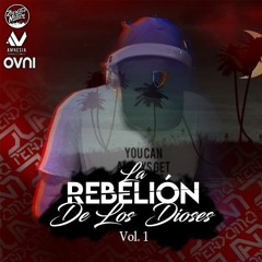 LA REBELIÓN DE LOS DIOSES - VOL1