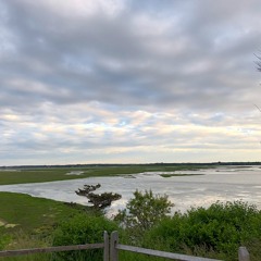 Fort Hill Morning Songs