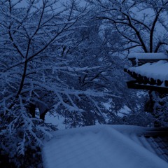 Monochromer Garten Series