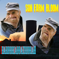 Sun Farm Bloom