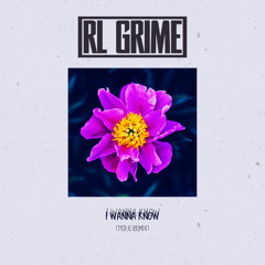 RL Grime - I Wanna Know (TED.E Remix)