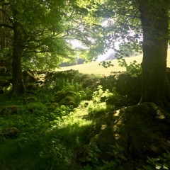 Green Is My Favorite Color