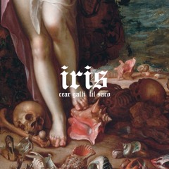 iris (ft.+ prod. Lil Saco)
