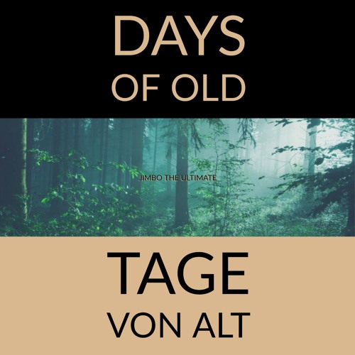 Return To Carcassonne