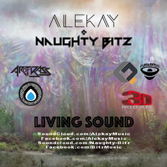 Alekay & Naughty Bitz - Living Sound