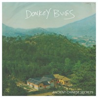 Donkey Bugs - Three Times Fast