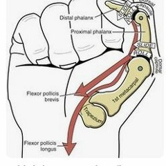 Drop Italos Not Bombs