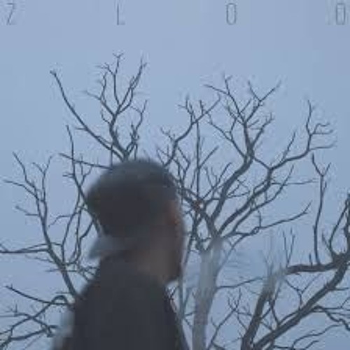 GLEB ZOO - WEEK Prod. BIGHORSE