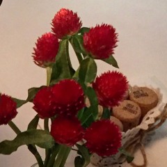 피어난 꽃(blooming flowers)