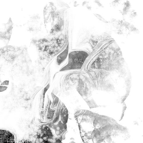 TorentE - Fluxus (excerpt)