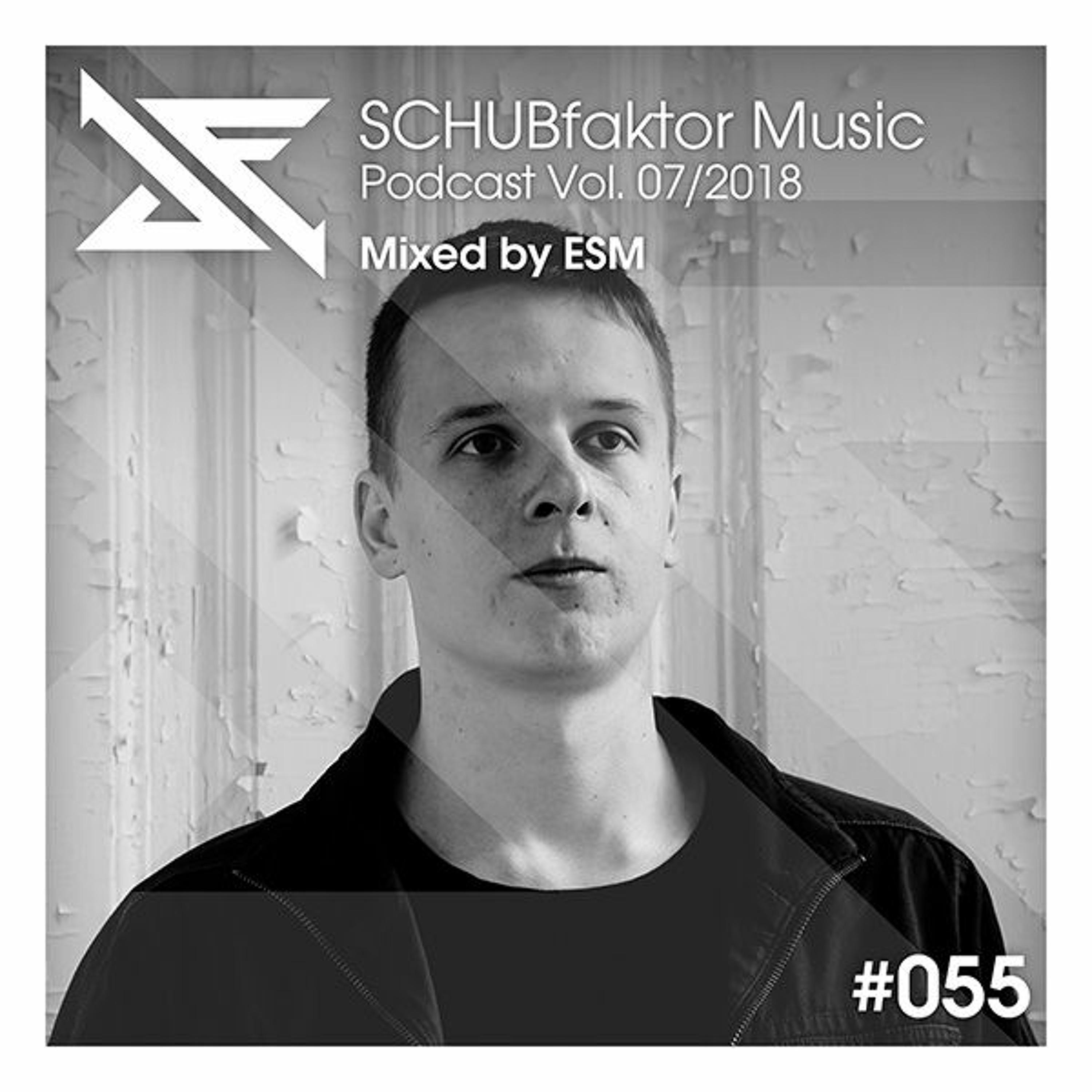 SCHUBfaktor Music
