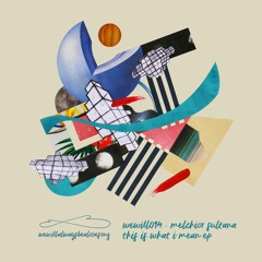 PREMIERE: Melchior Sultana - Phased (wewillalwaysbealovesong)
