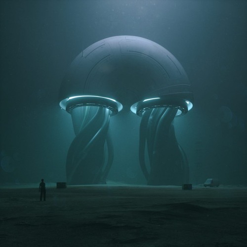 whale