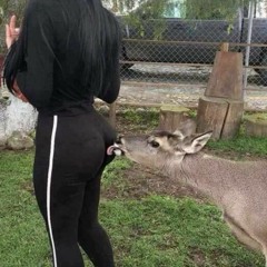 country hoes n pecan pie