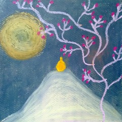 Night's Drive in India, Madhurima - violin, Adela - piano, Emil - tabla