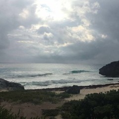 Beach Vibes