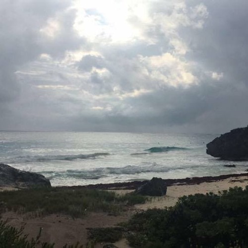 Beach Vibes