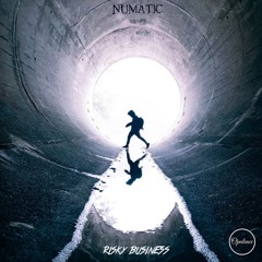 Numatic - Risky Business