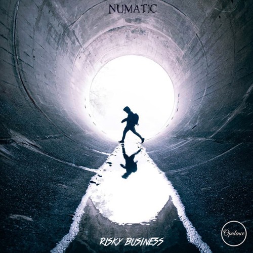 Numatic - Risky Business