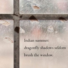 dragonfly periphery (Naviarhaiku232)