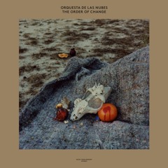 A1 - Orquesta De Las Nubes - Un Regalo (2:33)