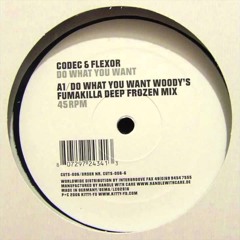 Codec & Flexor - Do What You Want (Woodys Fumakilla Deep Frozen Mix)