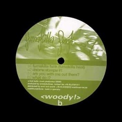 Woody ‎– Are You With Me Out There
