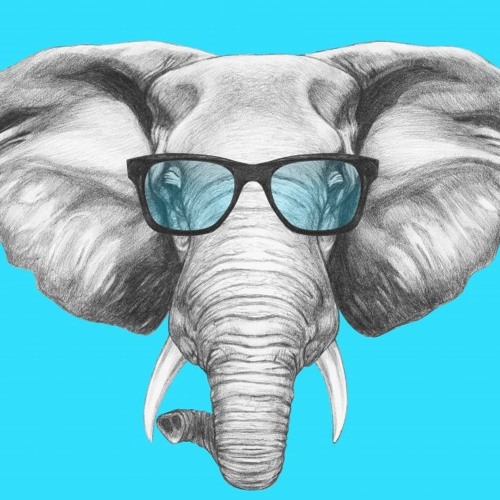 White Elephant - Sir John (Andy Kidd Beats Mix)