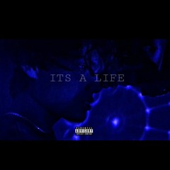 ITS A LIFE