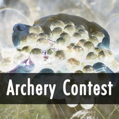 Archery Contest