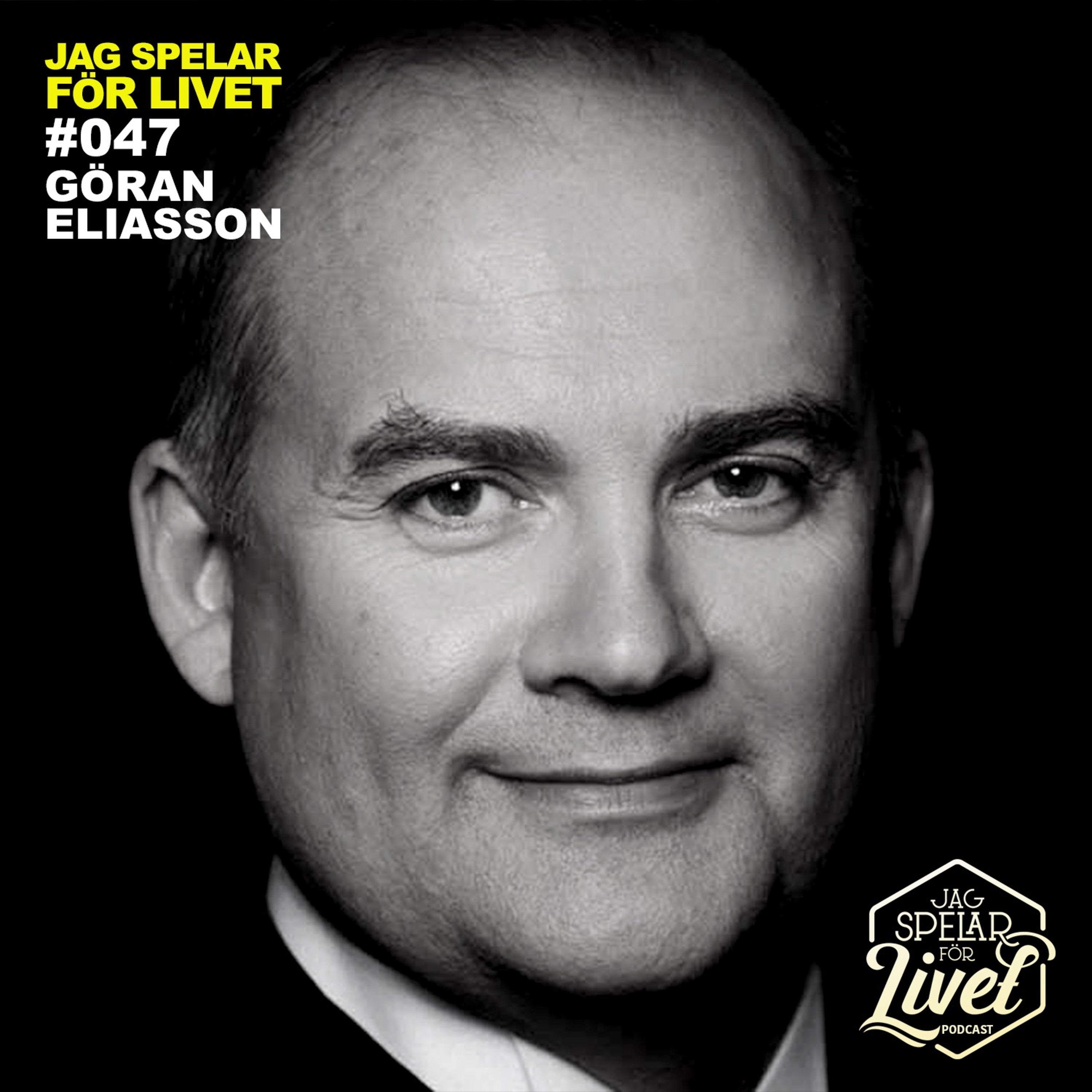 Jag Spelar för Livet - Musiker om Musik
