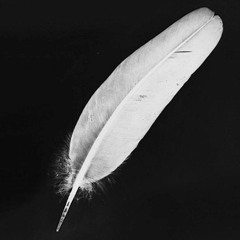 Cigarettes After Sex - Nothing's Gonna Hurt You Baby Cover by Lachlan Davies