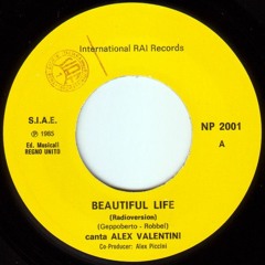 Alex Valentini ‎– Beautiful Life