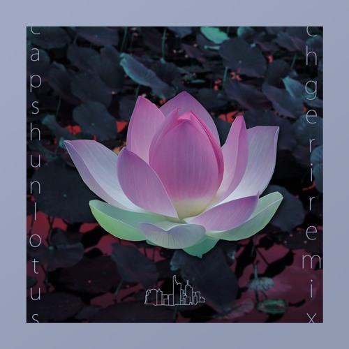 Lotus flower djimboh remix Lotus flower djimboh remix