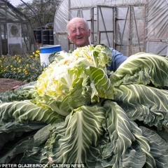 Cauliflower Riddim