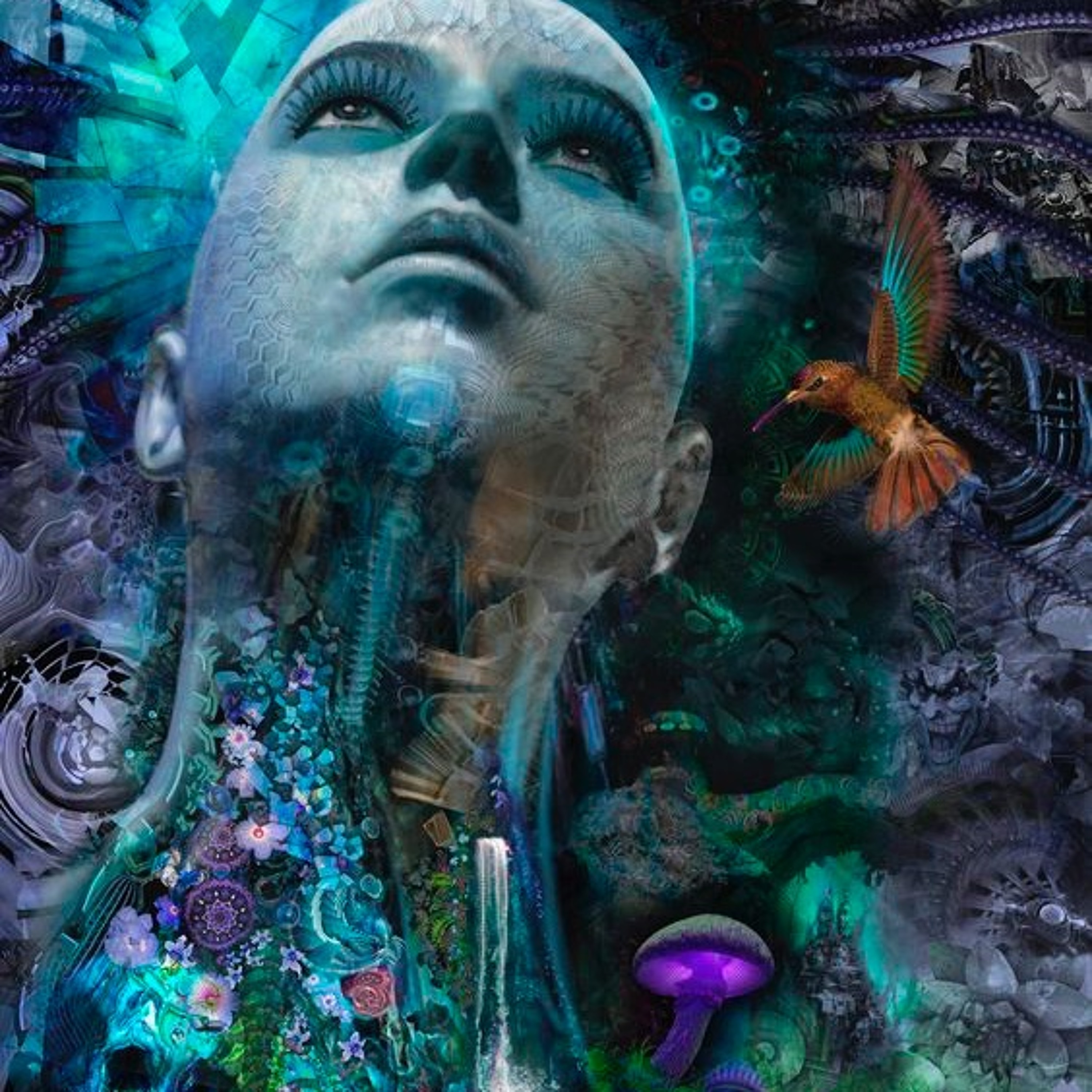 PsyloBean Podcast