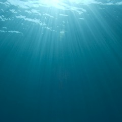 Pretty One - MaxLine