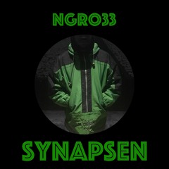 NGRO33 - SYNAPSEN