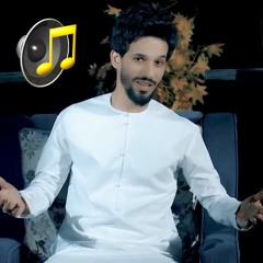 الملك- سلوان الناصري