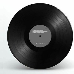 Various Artist - Echo 0.2 EP ( Vinyl )