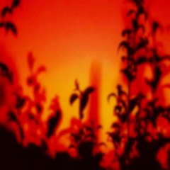 ANENDLESSVIEW (1995 Projekt Version)