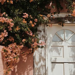 SHIBUYA - TELEx TELEXs [1PART]