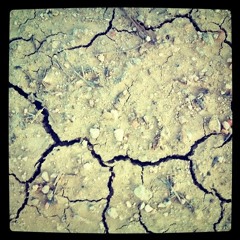 Ancestral Roots