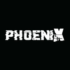 Phoenix supports 2018 vol.2