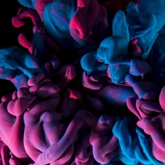 $$$ - Triad Collective - $$$