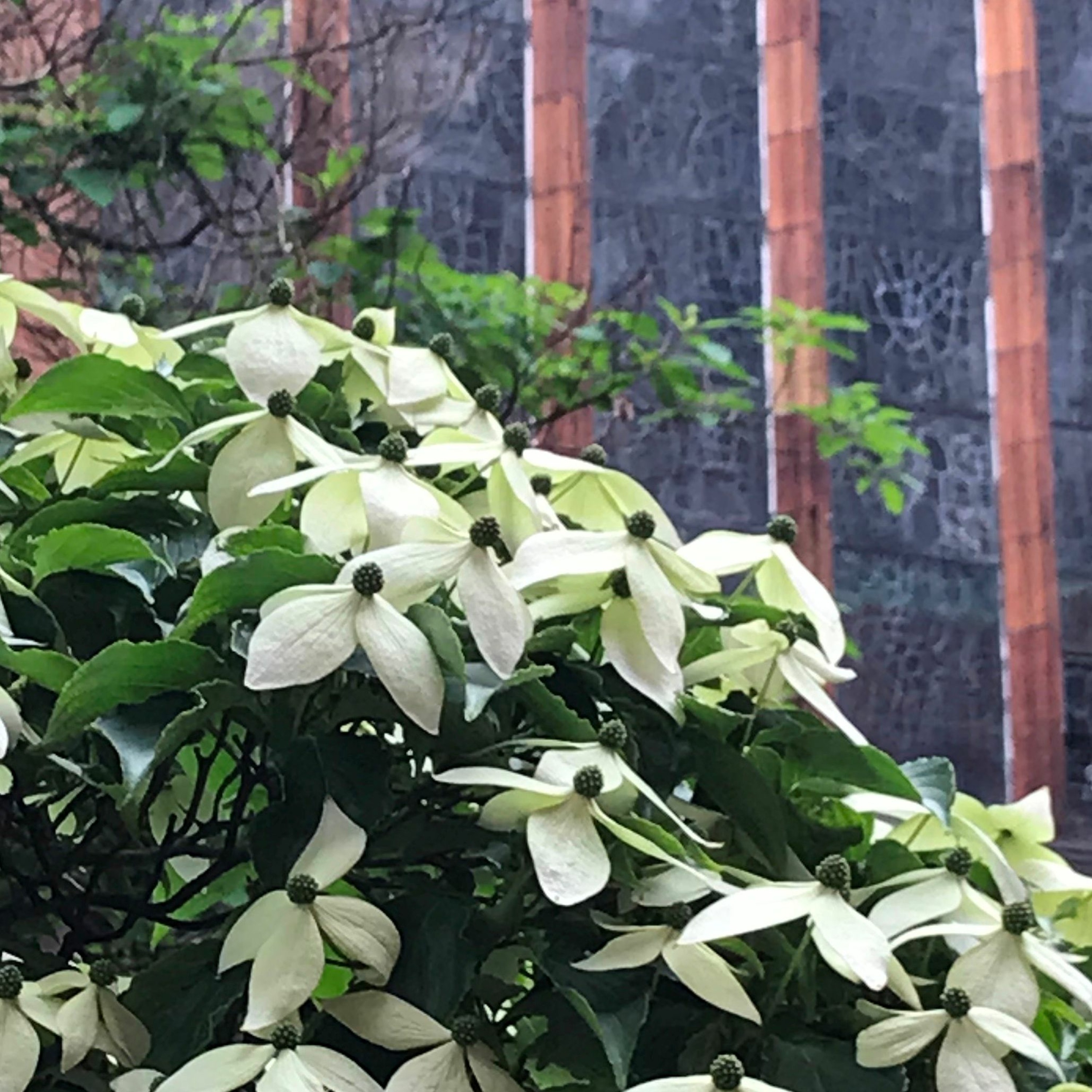 Words, Nevertheless: Sermons and Thoughts