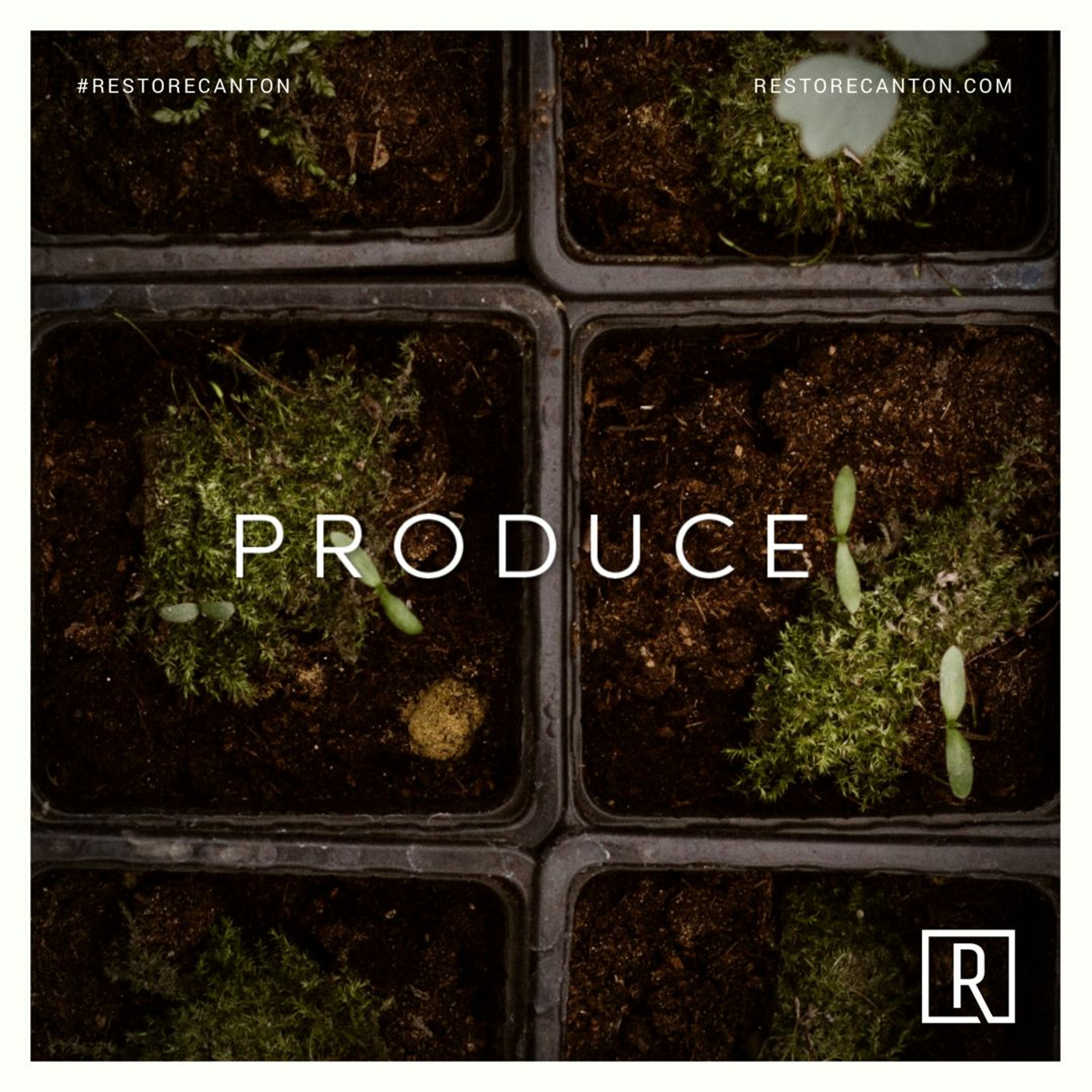 06.17.18 Produce 3