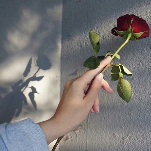 Nothing To Lose [ft. Atwood] (prod. cohardt)