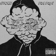 $toke Ft Fat Papi - i Got What You Need