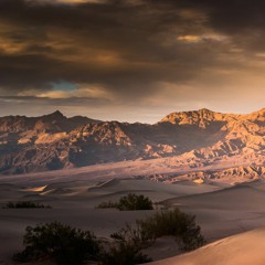 DesertScape